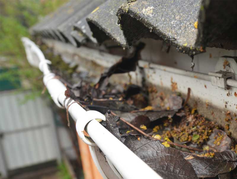 WB Cleaning gutter clogged with leaves.